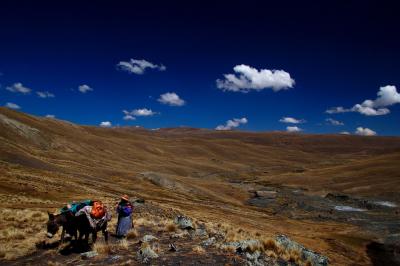 Cordillera Real