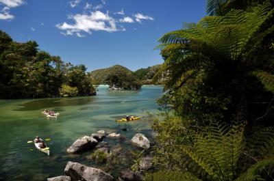 Abel Tasman National Park