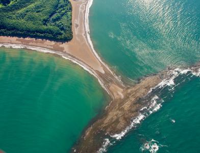 Bah&iacute;a Ballena