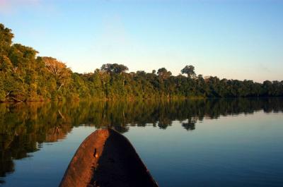 Amazon Basin