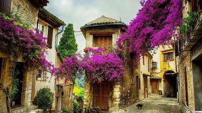Provence