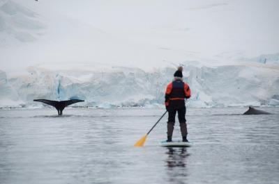 Paddleboarding in Antarctica