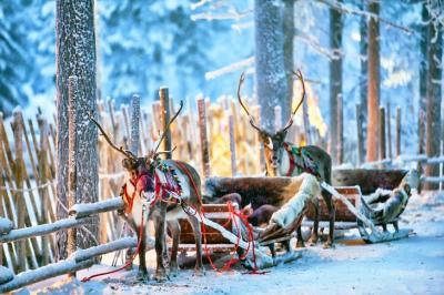 Rovaniemi and the Arctic